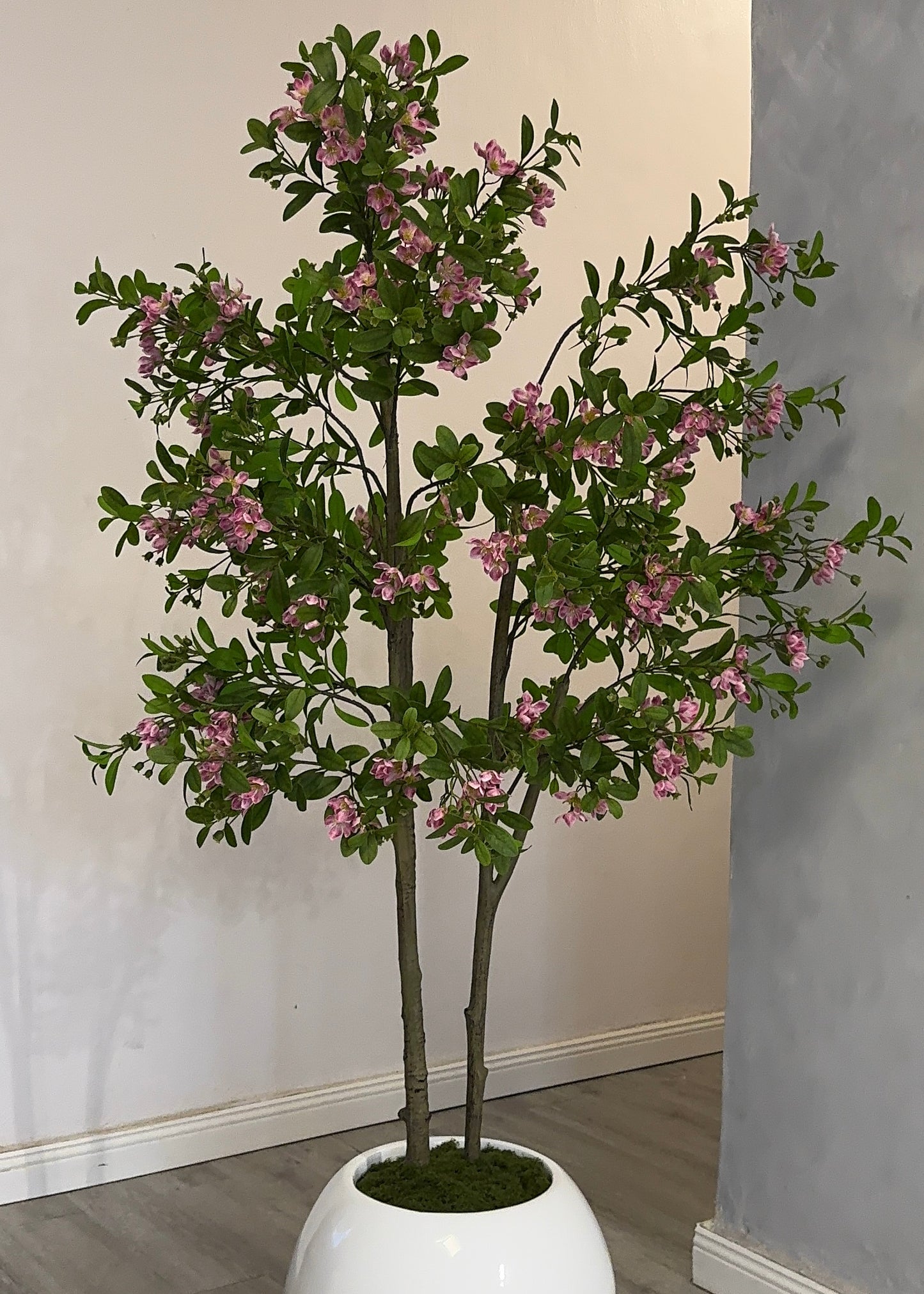 Blush Blossom Tree