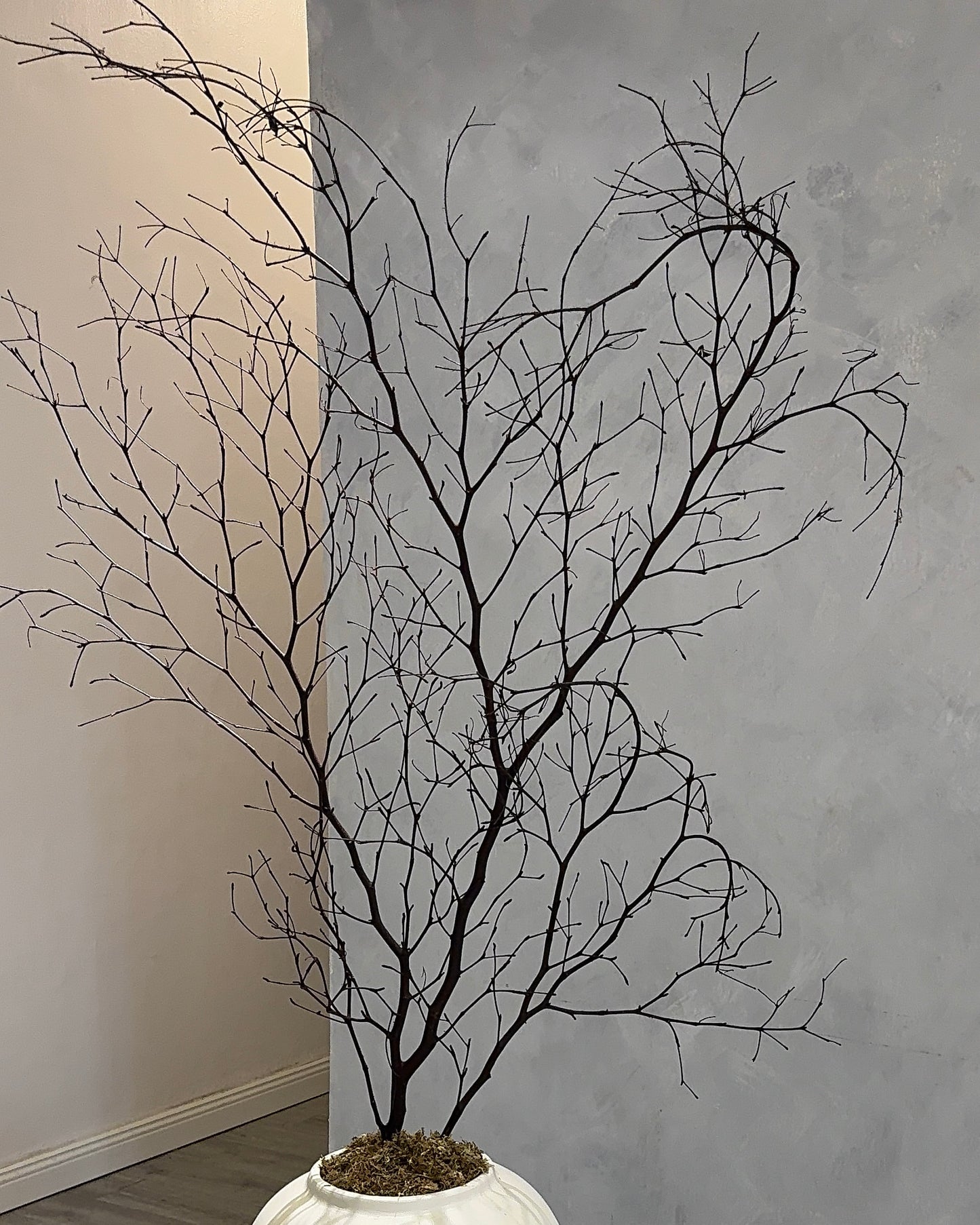 Twigs