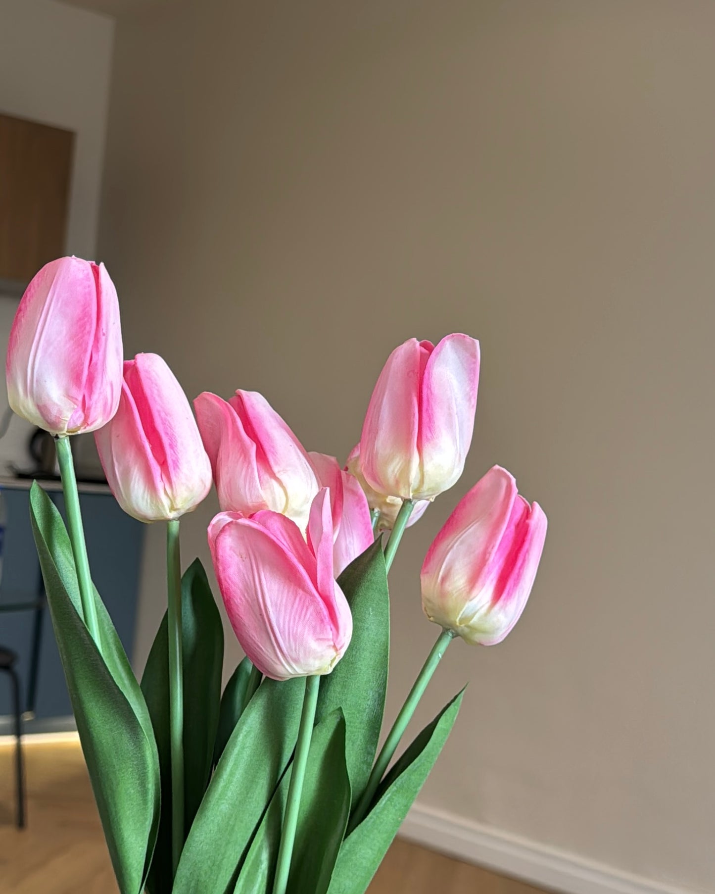 Tulips Flowers