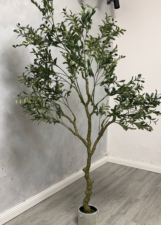 Artificial Olive Plant (210cm)
