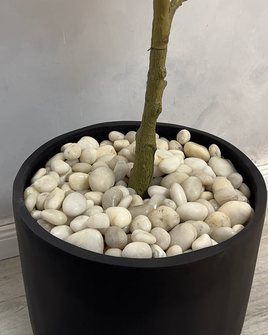 Pebbles (Top Filler)