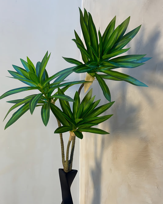 3-Head Tropical Plant