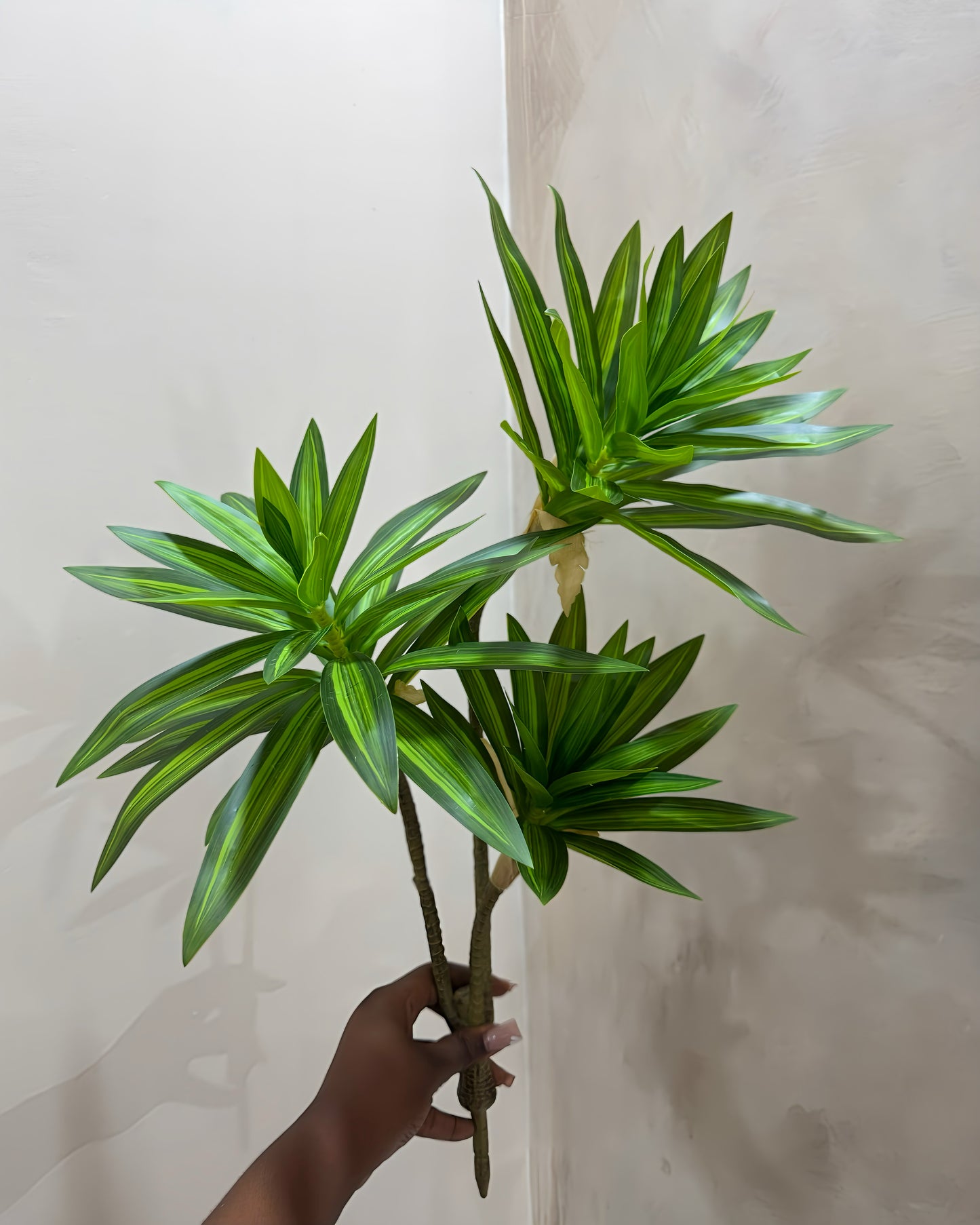 3-Head Tropical Plant