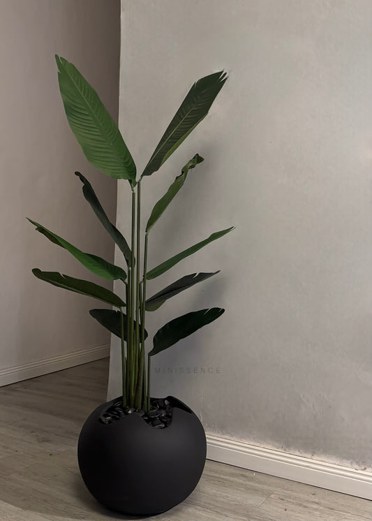 Black Round Wave Pot