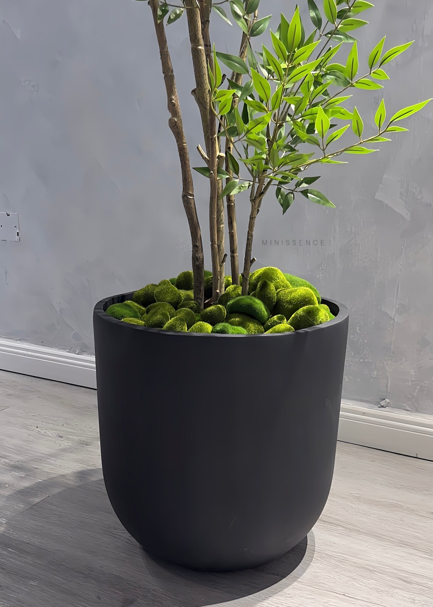 Black Vault Pot