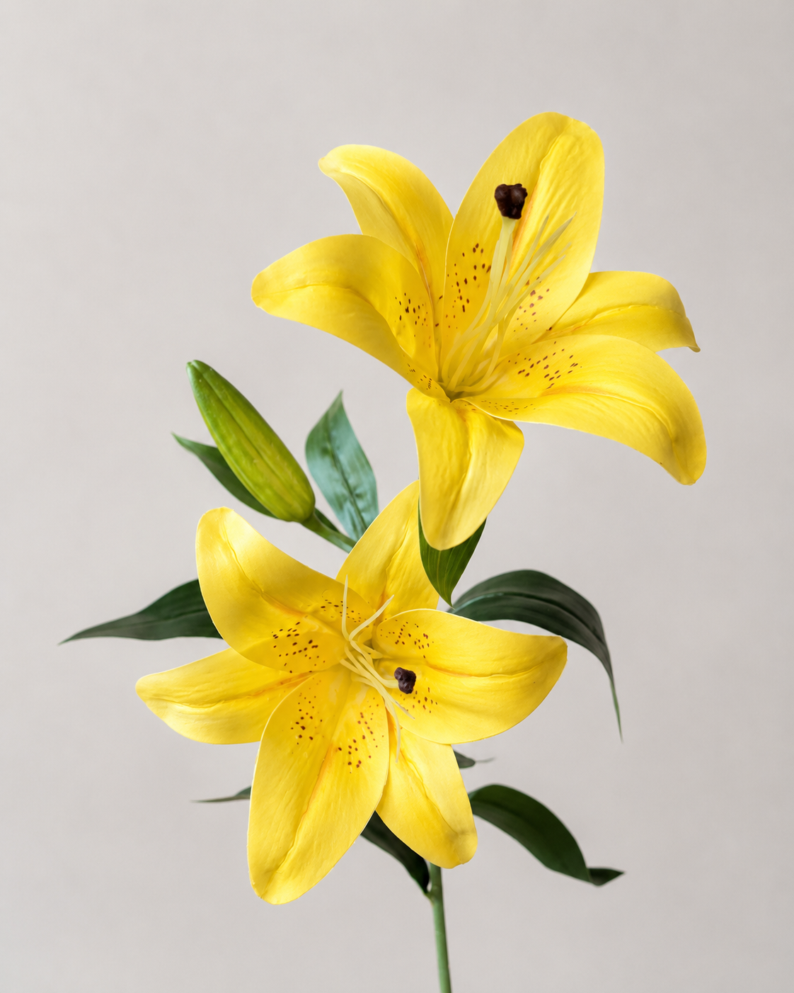 Signature Lily Stem