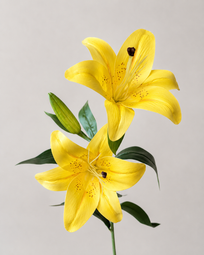 Signature Lily Stem