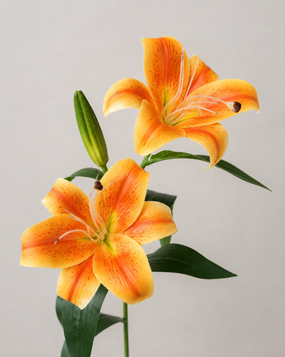 Signature Lily Stem