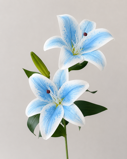Signature Lily Stem