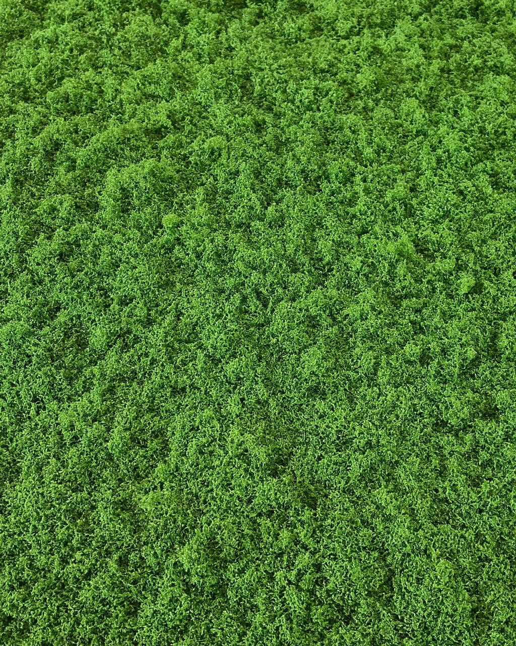 Artificial Grass (Top Filler)