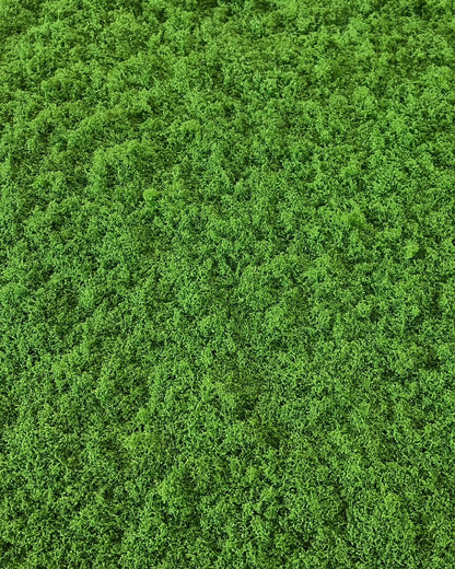 Artificial Grass (Top Filler)