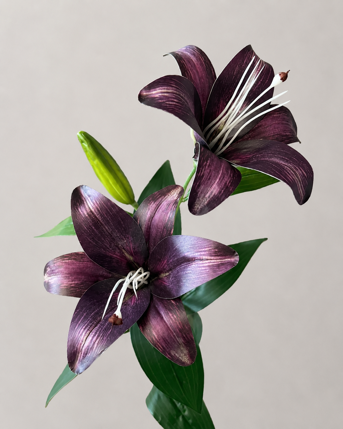 Signature Lily Stem