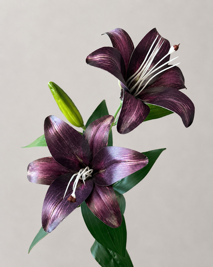 Signature Lily Stem