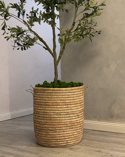 Woven Bamboo Basket
