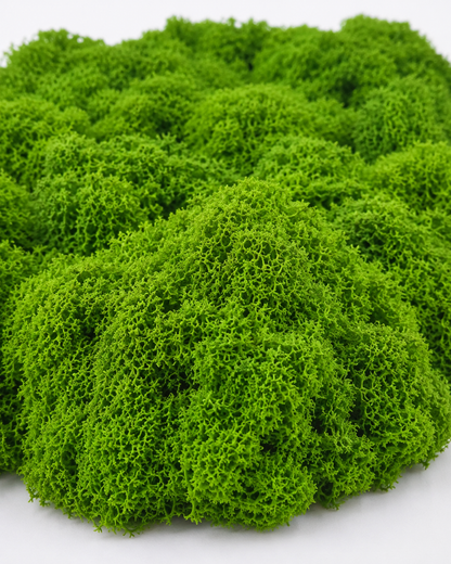 Artificial Grass (Top Filler)