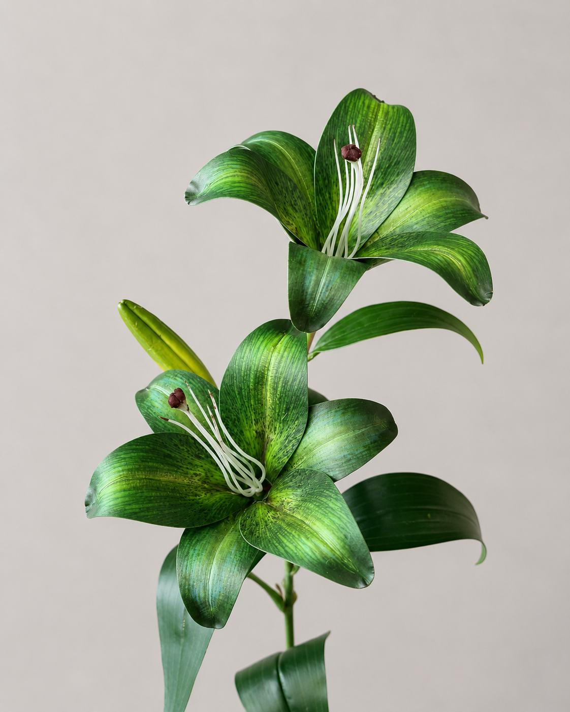 Signature Lily Stem