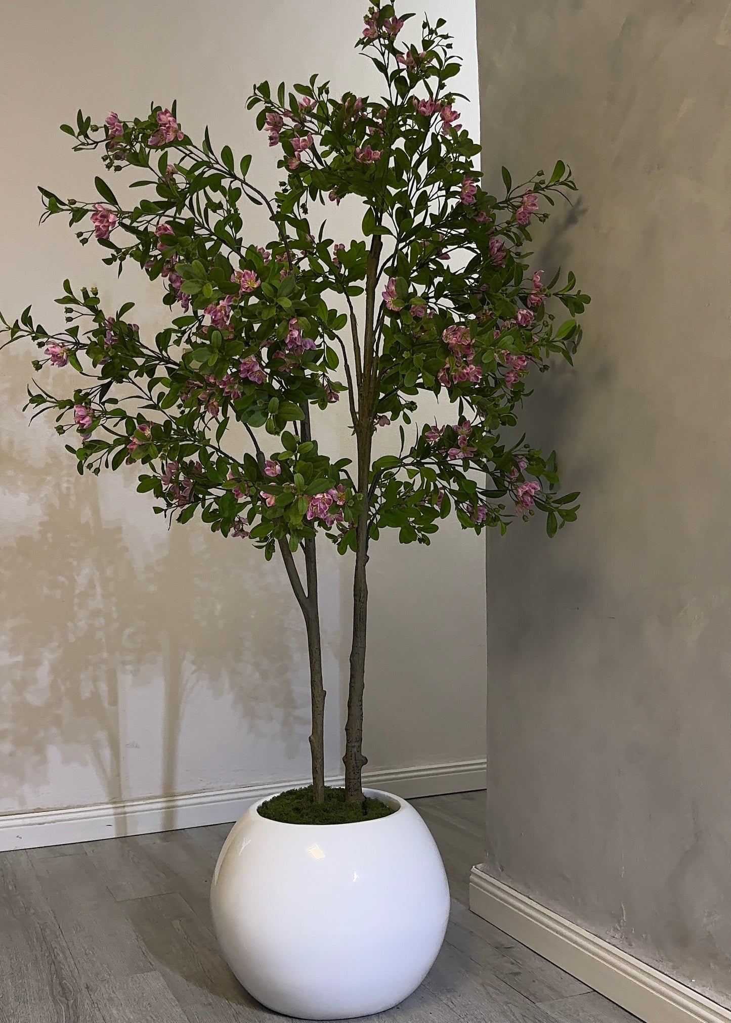 Blush Blossom Tree