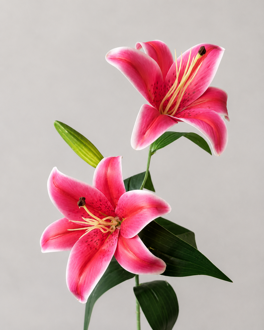 Signature Lily Stem