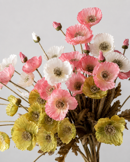 Poppy Stems