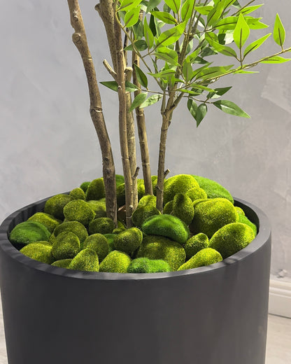 Moss Blocks (Top Filler)