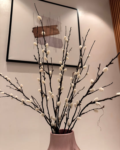 Fluffy Willow Stems