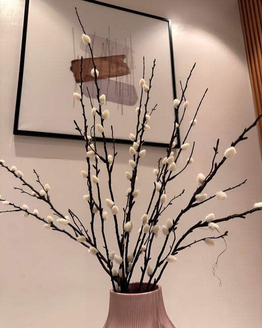 Fluffy Willow Stems
