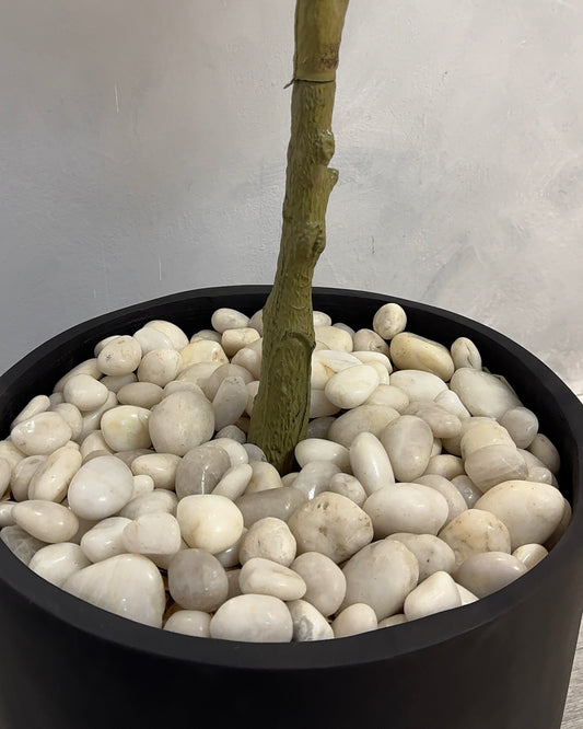 Pebbles (Top Filler)