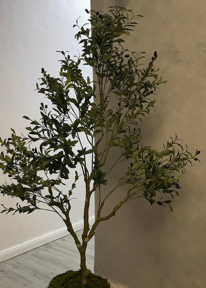 Artificial Olive Plant (210cm)
