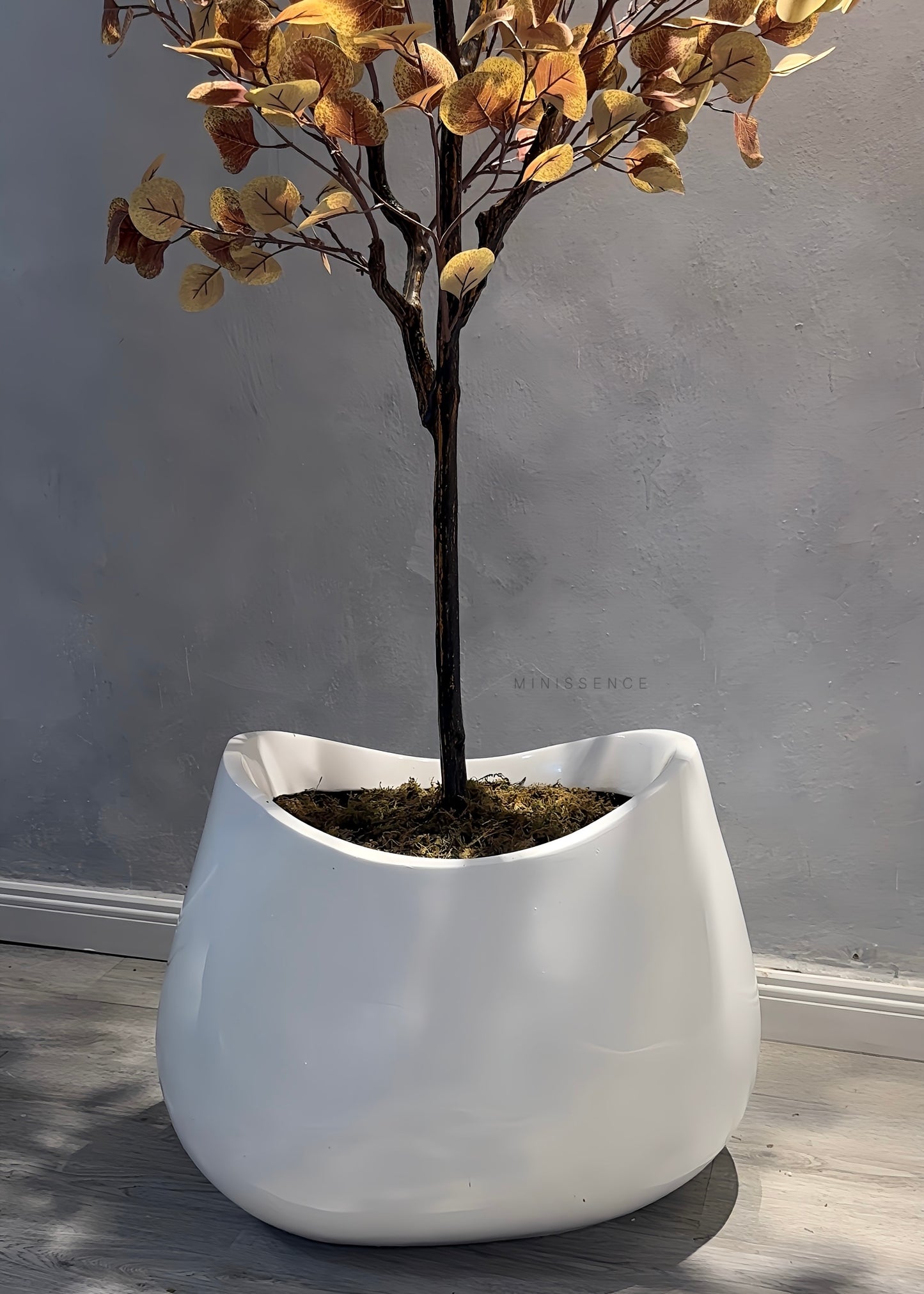 Soft Curve Pot
