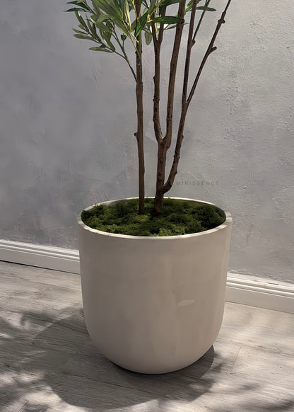 Cement Vault Pot