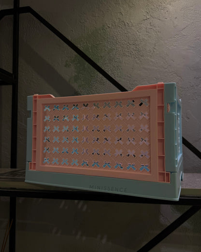 Two-toned Storage Crate