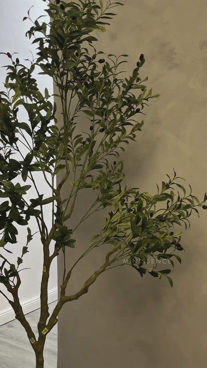Artificial Olive Plant (210cm)